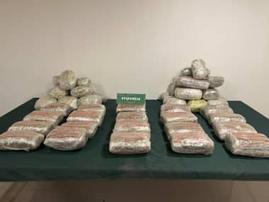 Carabineros incautó más de 40 kilos de marihuana elaborada en Curicó
