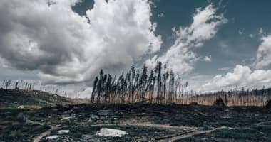 Definen hoja de ruta contra incendios en el Maule: Municipios reciben planes técnicos y confirman prohibición total de quemas