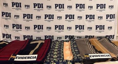 Recuperan millonario botín de mantas corraleras robadas en Villa Alegre: Sujeto intentaba venderlas en Talca