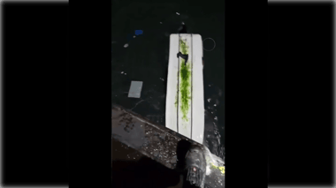 Rescatan con vida a pescador desaparecido tras grave accidente en el Puerto de Maguillines