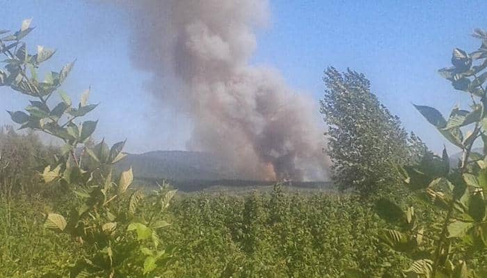 Declaran Alerta Temprana Preventiva para el Maule por incendios forestales