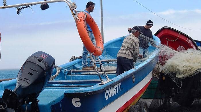 Priorizan problemática sobre la pesca de la sardina