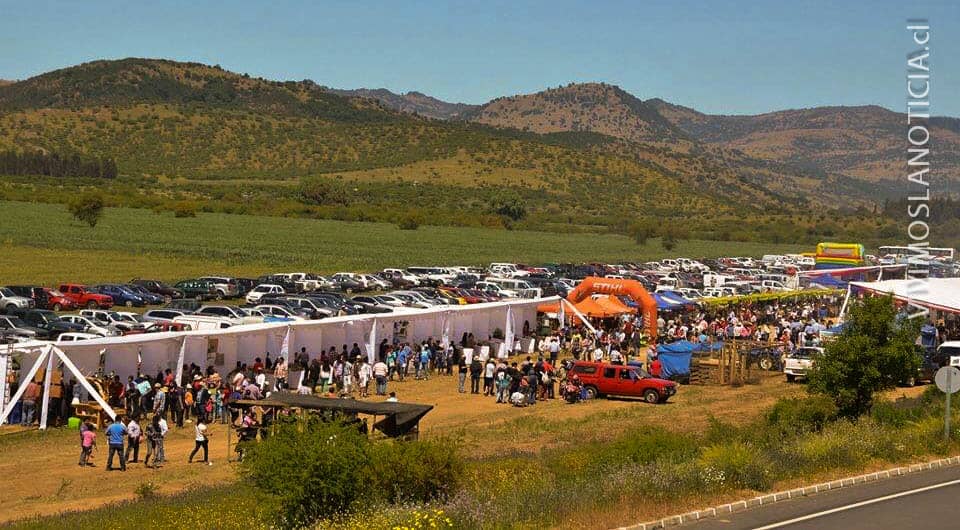 Todo listo para la fiesta del cordero de Hualañé