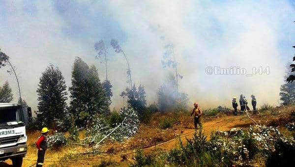 Capacitan a brigadistas forestales para detectar incendios intencionales