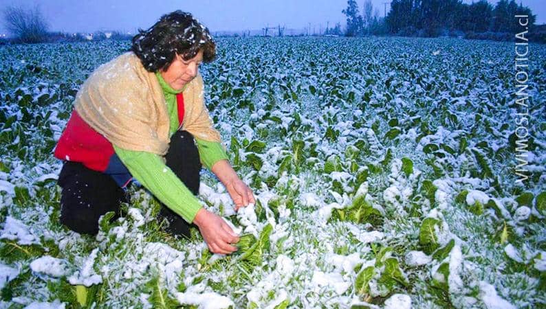Anuncian temperaturas bajo cero para el fin de semana