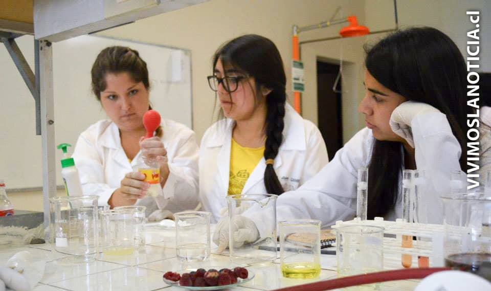 200 proyectos de investigación han presentado las universidades estatales
