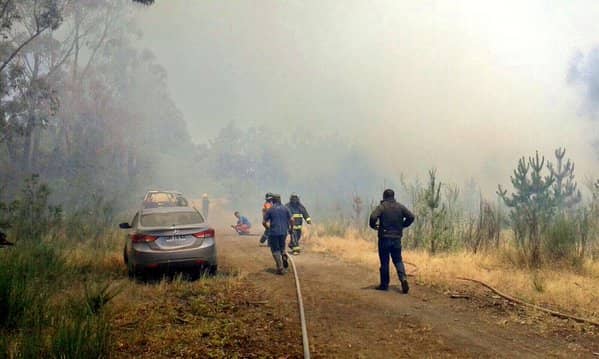 Declaran alerta temprana preventiva por incendios forestales