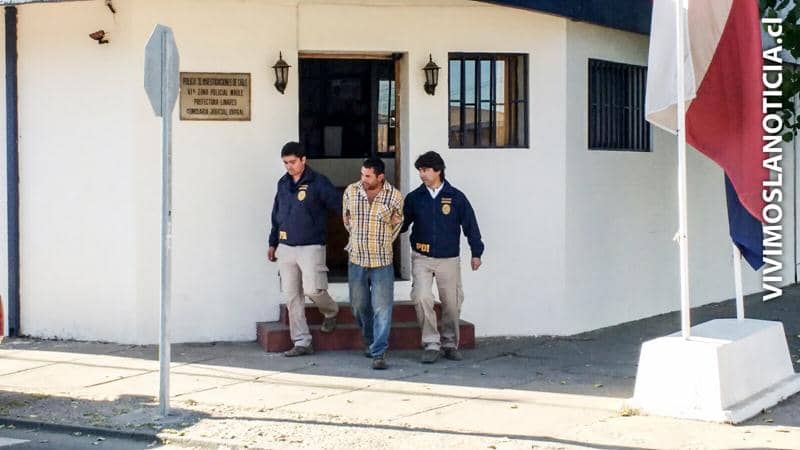 PDI recuperó nueve caballos y detuvo a dos sujetos por abigeato