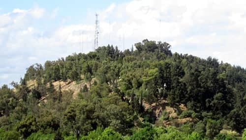 Municipio de Curicó anunció mejoras en sistema de regadío de Parque Cerro Condell y Estadio La Granja