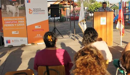 Rauco lanza campaña de esterilización para perros y gatos