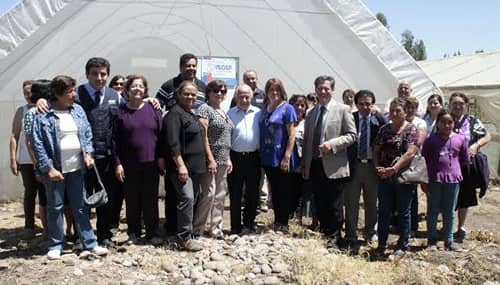 Floristas de Maule buscan acceder a mejores invernaderos