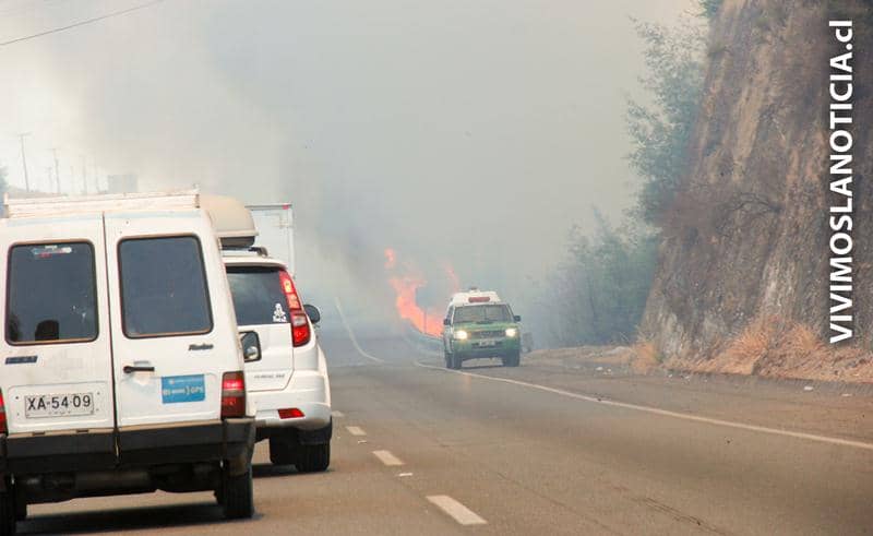 [COLUMNA DE OPINIÓN] Prevenir incendios forestales es crear conciencia