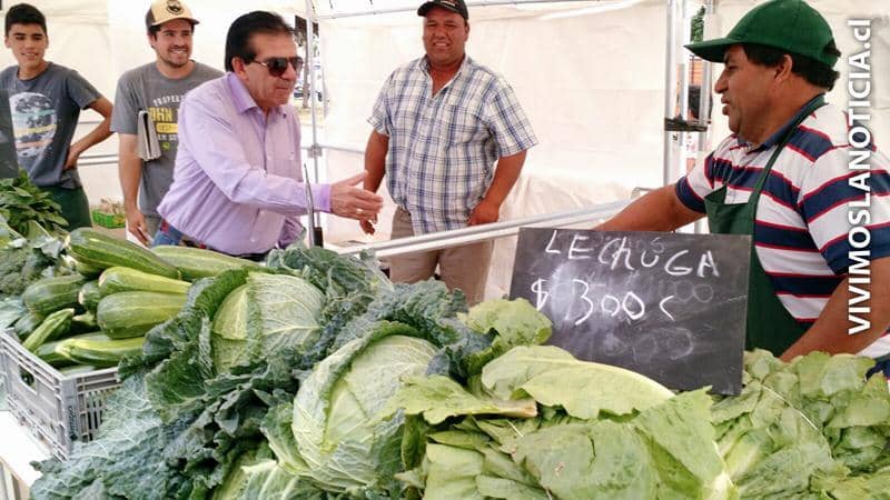 Inauguraron el primer “Mercadito Campesino” de Maule