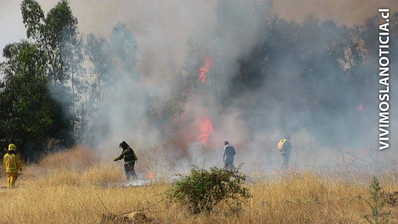 [FOTOS] Incendio de pastizales puso en riesgo exclusivas viviendas