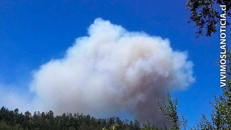 [FOTOS] ONEMI declara alerta roja por incendio forestal en Vichuquén