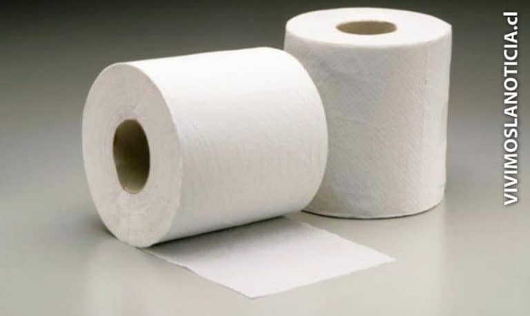 Académico analizó la forma en que la industria favorece la  colusión de las papeleras