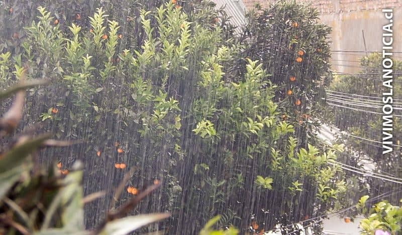 Escasas lluvias se pronostican para este año