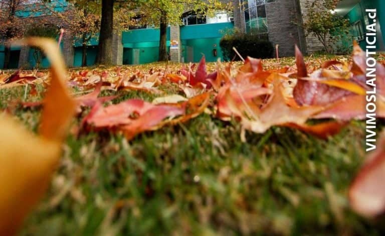 Altas temperaturas y pocas lluvias se pronostican para este otoño