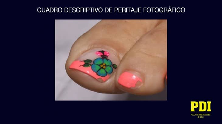 [FOTOS] PDI pide ayuda para identificar a mujer descuartizada