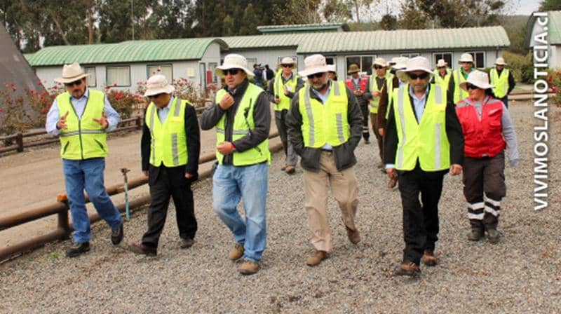 Trabajadores forestales conocen alcances de la reforma laboral