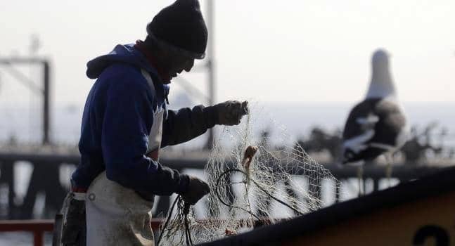 Gobierno logra acuerdo con pescadores y bajan movilizaciones en Chiloé