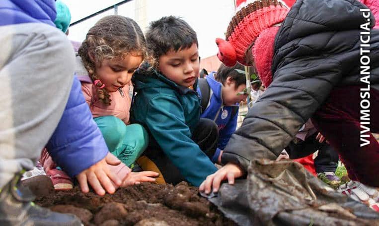 [FOTOS] Continúa hermosamiento en Sede Bicentenario 2 en Molina