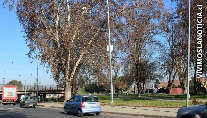 Entran en operación nuevas cámaras de seguridad en Curicó