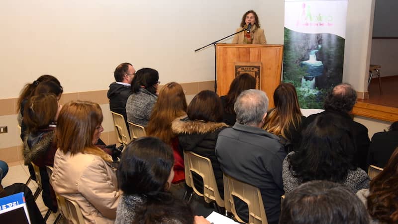 Municipalidad de Molina capacita a sus funcionarios por nueva “Ley de Plantas”