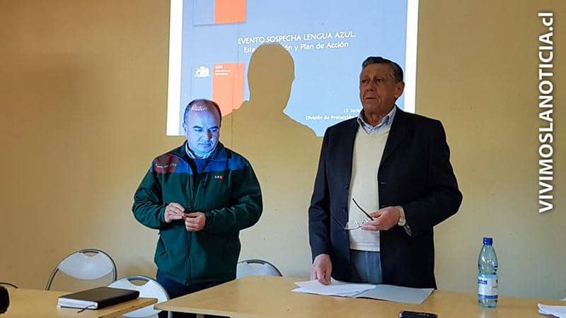 [FOTOS] Descartan sacrificar animales por muestras positivas de “lengua azul”