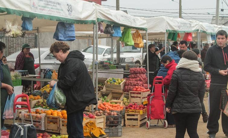 Seis meses cumple "Mercadito Campesino" de Maule