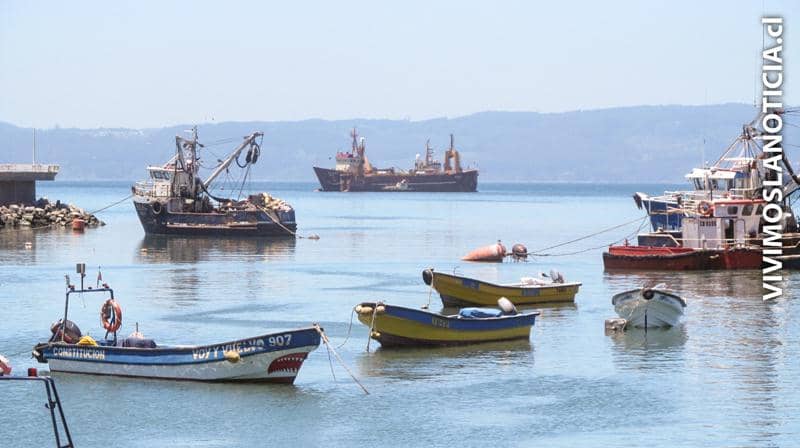 PYMEPES piden diseñar nueva Ley de Pesca