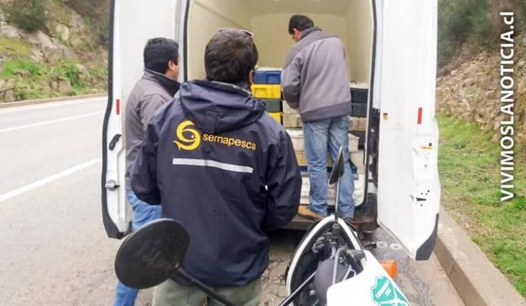 Incautan 3 toneladas de merluza a días del inicio de la veda