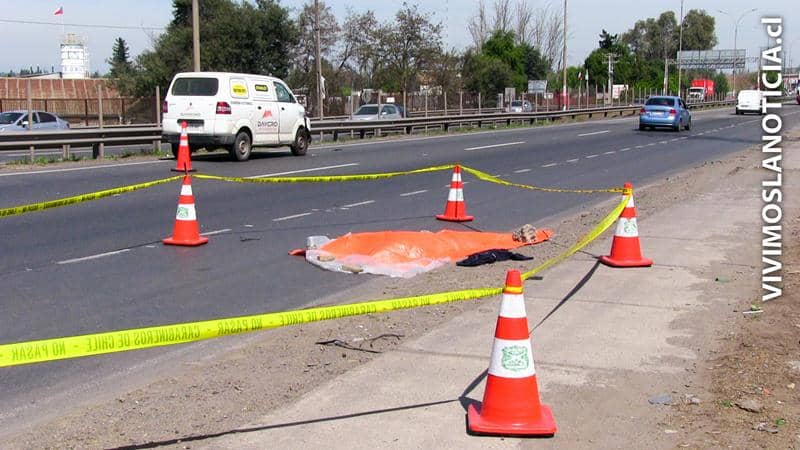 Joven de 21 años muere atropellado por camioneta en ruta 5 sur