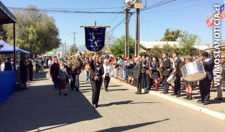 Vecinos de Los Niches vivieron desfile de fiestas patrias