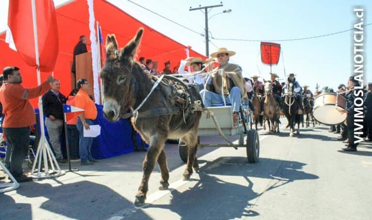 Se realizó desfile de fiestas patrias en Palquibudis de Rauco