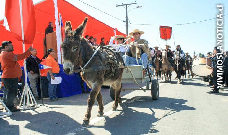 Se realizó desfile de fiestas patrias en Palquibudis de Rauco