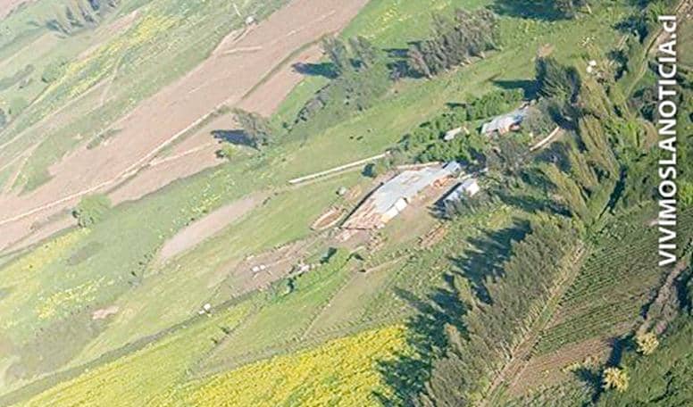 Con avioneta buscan caballos inscritos robados