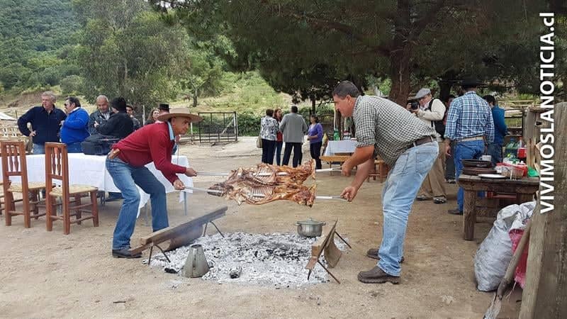 Rauco vivirá su primera fiesta de la esquila