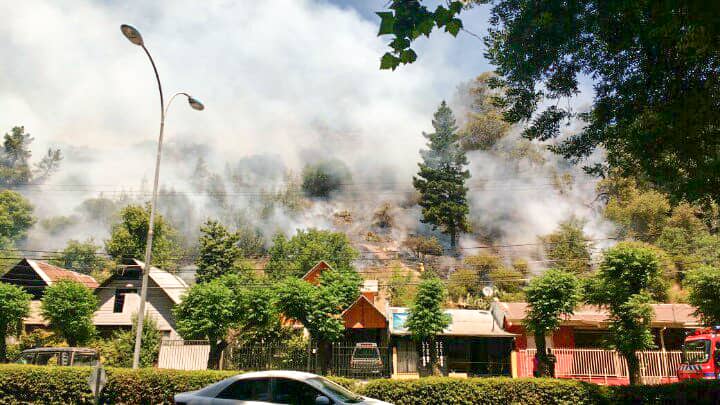 [FOTOS/VIDEO] Incendio amenazó viviendas en cerro Condell