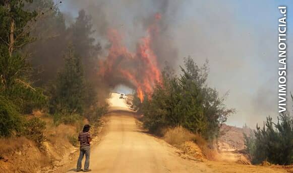 Declaran alerta roja por incendio forestal en Vichuquén
