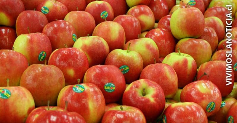 Desarrollan sistema de predicción para enfermedad que afectan a las manzanas