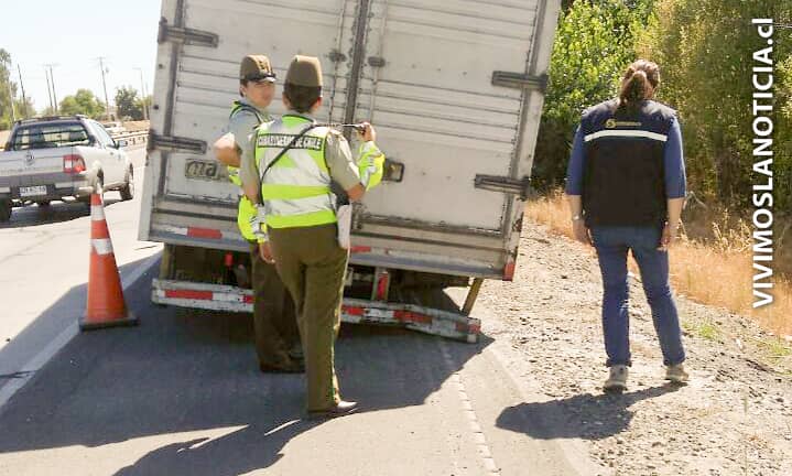 Falla en camión permite incautan 5 toneladas de merluza