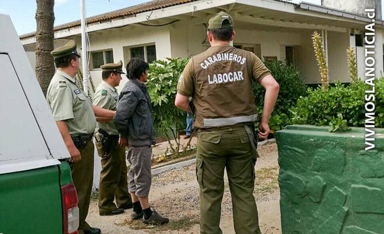 Cayó sospechoso de generar incendio forestal en Llico