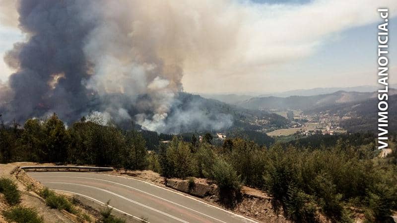Conaf intensifica combate de incendios forestales activos en el Maule