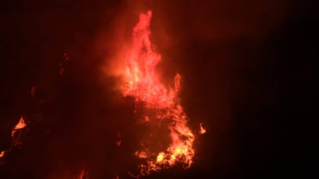 [VIDEO] Incendio forestal amenazó viviendas en Rauco