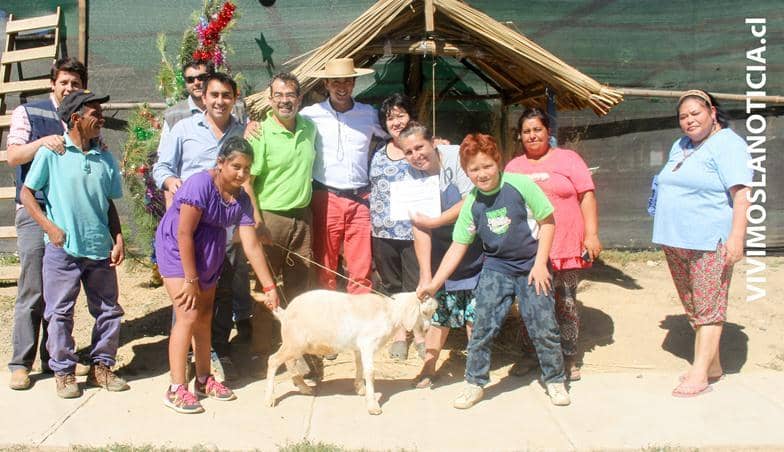 Vecinos de Vichuquén se lucieron en concurso de pesebres