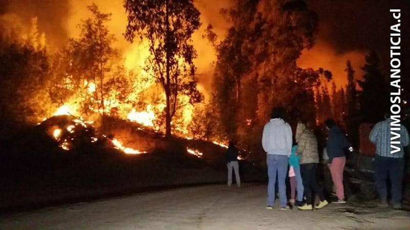 ¿Qué produjo los incendios forestales?: alcaldes tienen teorías