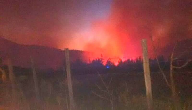Incendio forestal amenazó a centro educacional en Romeral