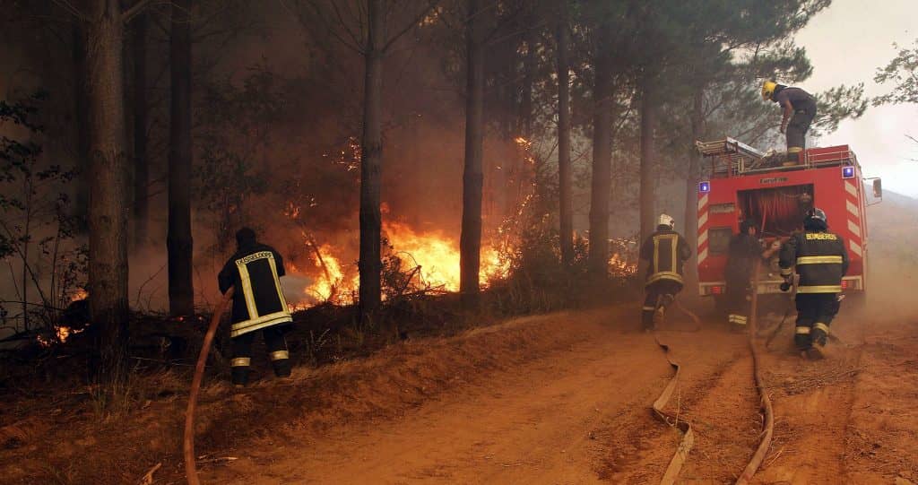 CGE descarta responsabilidad de subcontratistas en incendios y acusa presiones