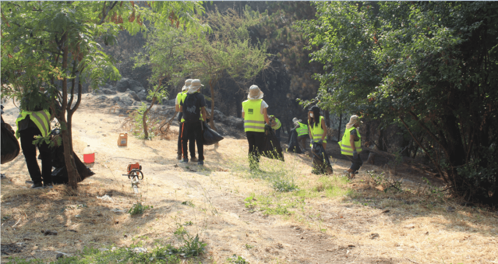 Jóvenes limpiaron Parque Cerro Condell